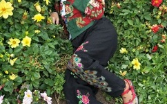 郑媛媛事件原始照片